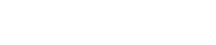 Metalex Africa